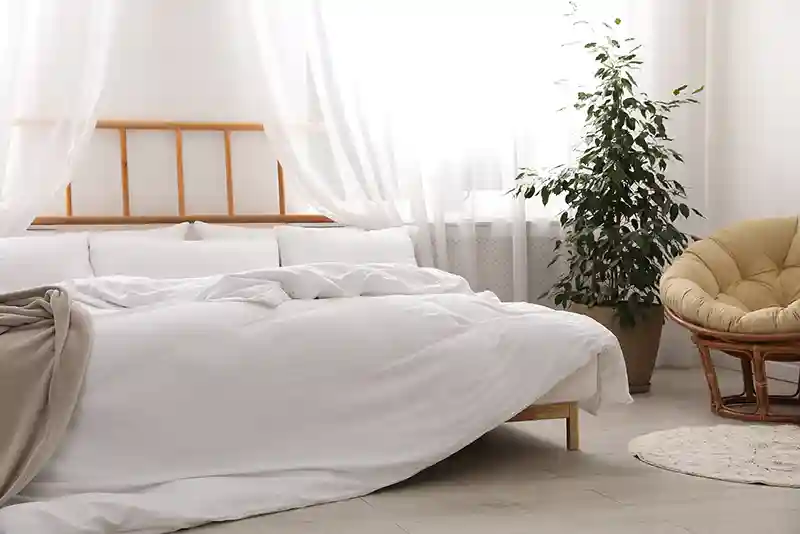 nepaklota lova