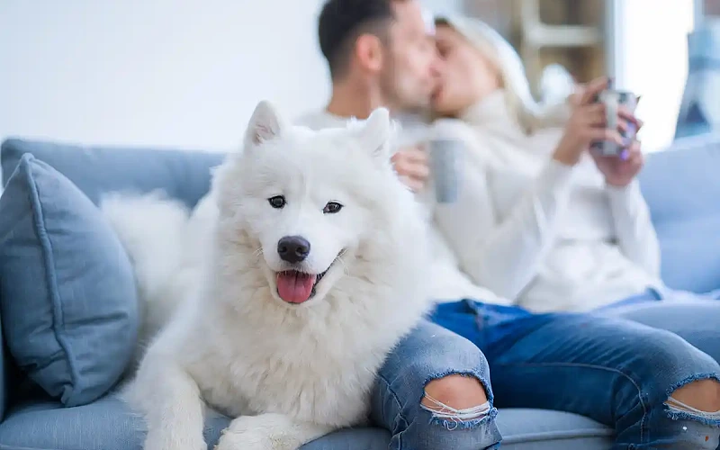 Tobulų santykių receptas