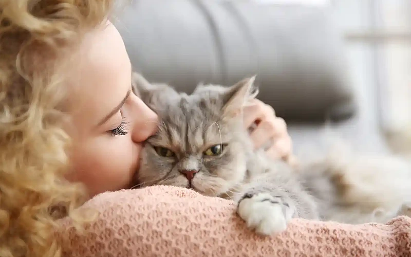 Įdomūs faktai apie kates